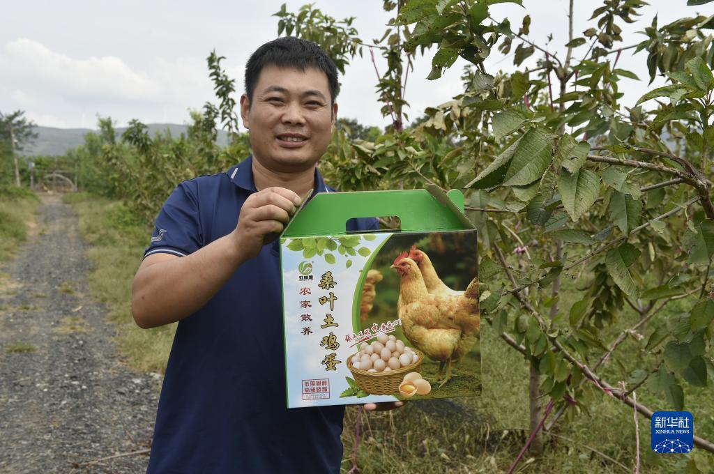 可以申请跳槽金论坛